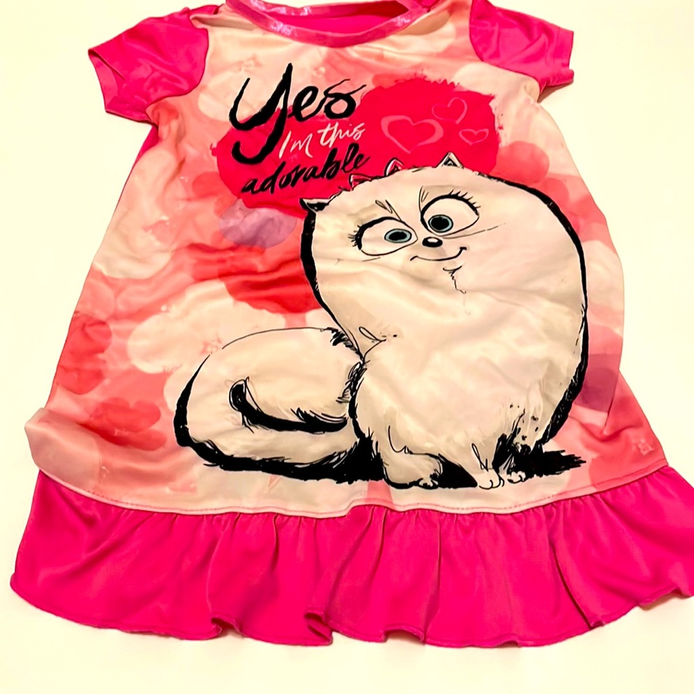 🌿The Secret Life of Pets 2🌿4T Girls Nightgown